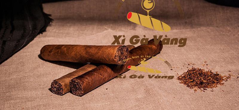 Bảo quản trong túi kín là cách xử lý xì gà bị khô đơn giản